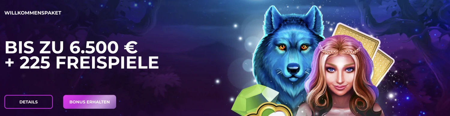 Promotional Banner